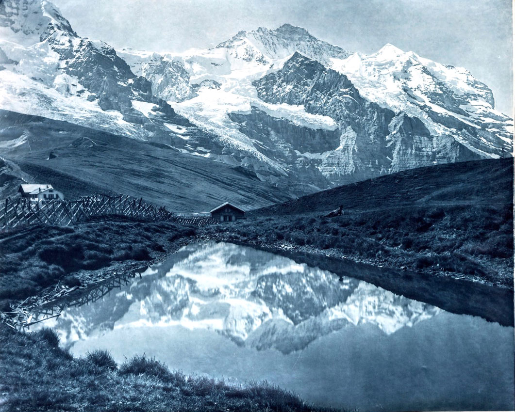 Adolphe Braun, La petite Schneideck vue de la Jungfrau, 1882
