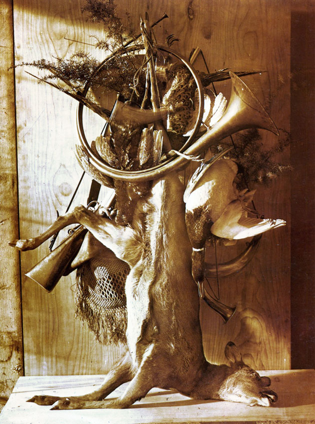 Adolphe Braun, Trophée de chasse au chevreuil