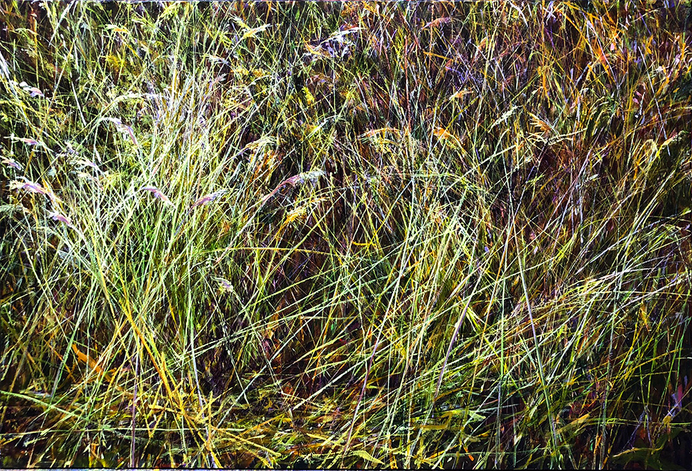 Charles Belle, Ceci est une image