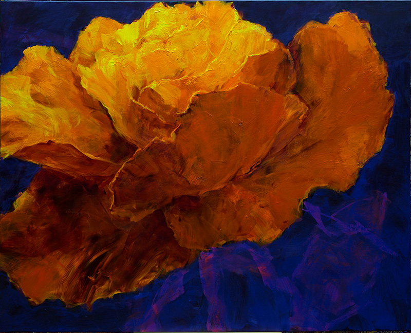 Charles Belle, Certaine d'arriver