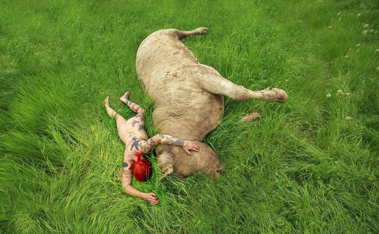 Lydie Jean Dit Pannel