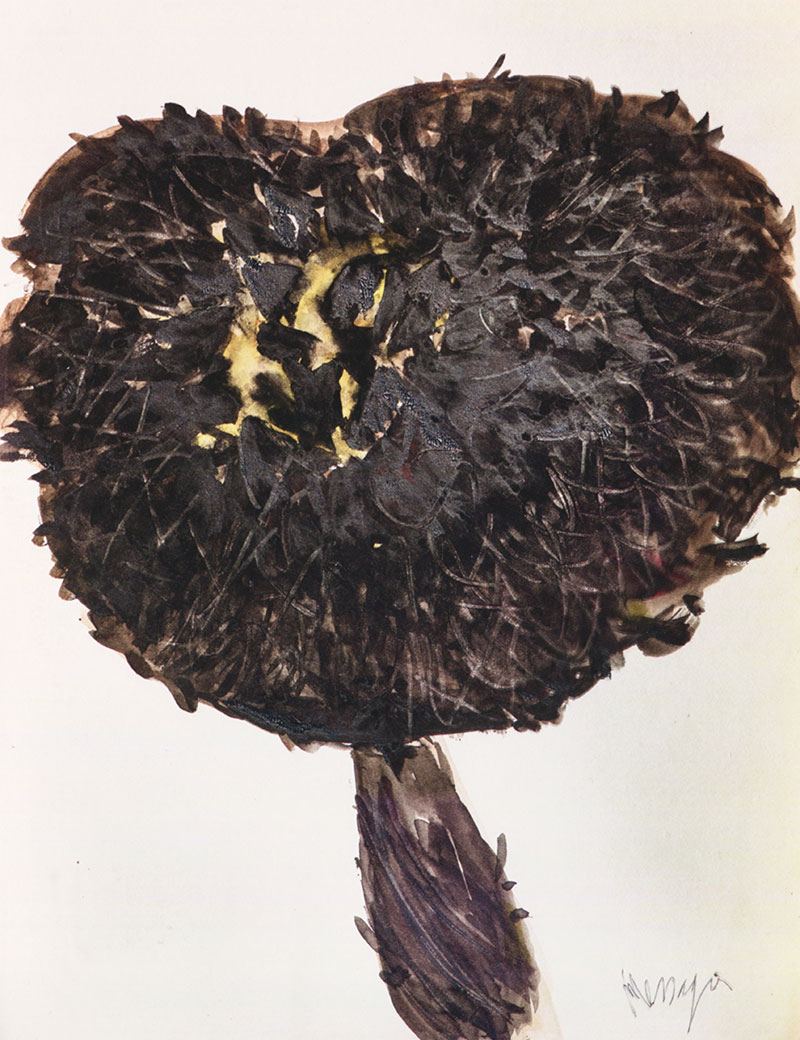 Jean Messagier, Boletus Strobilaceus