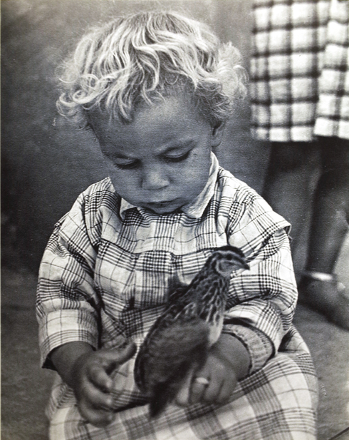 François Tuefferd, Larbi Samoud, Kélibia, Cap Bon, Tunisie, 1948